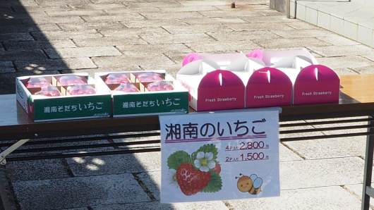 ���������@䕁u�Ó삻�����v�̔̔�